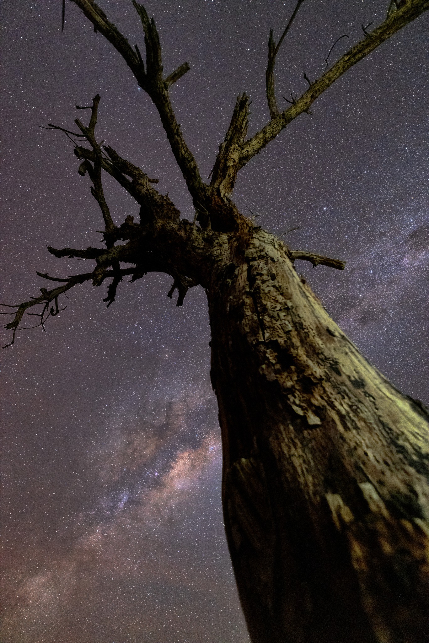 El arte de fotografiar paisajes bajo un cielo estrellado